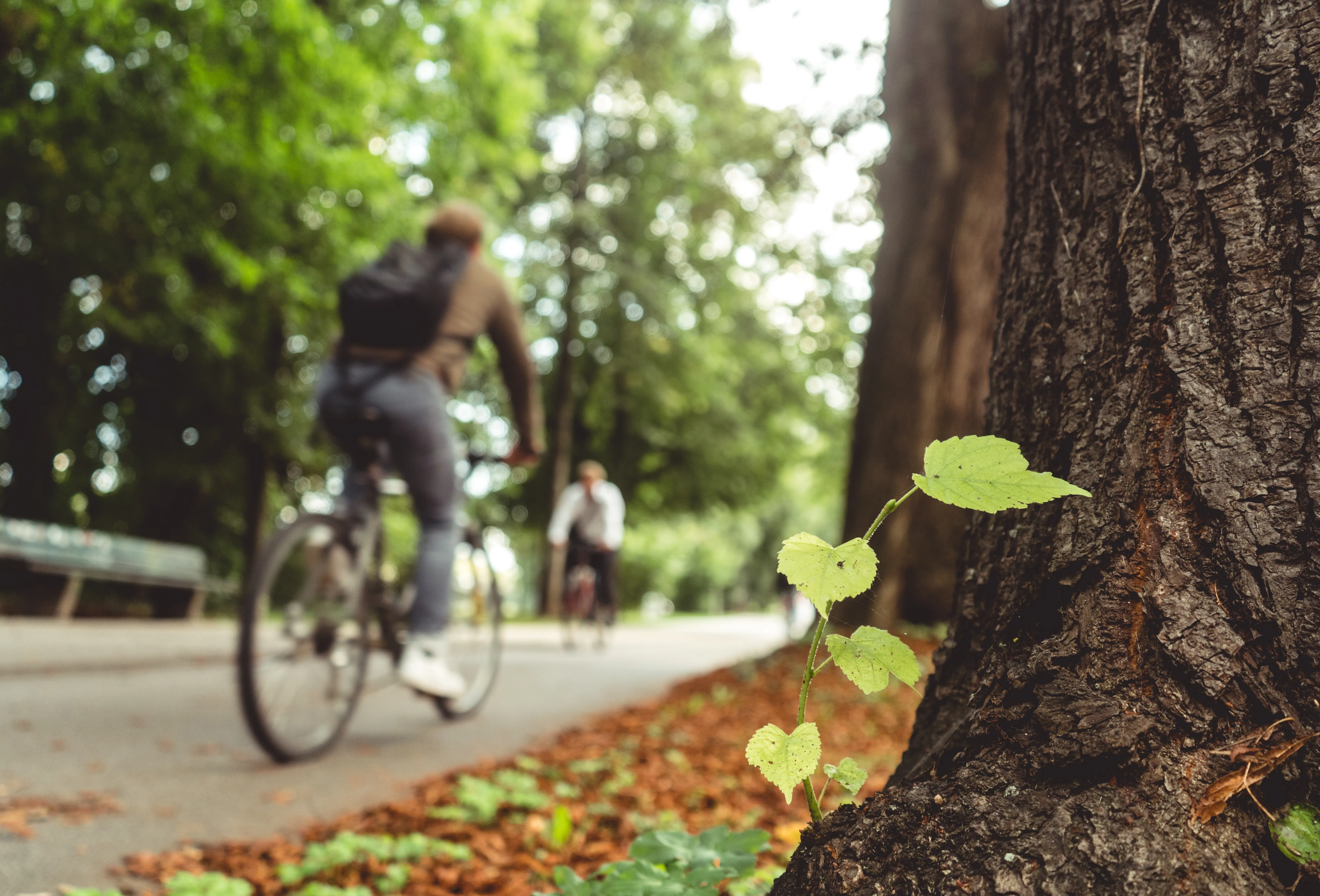 6 Local Businesses Helping Communities Go Greener